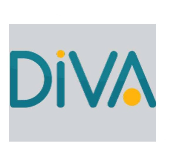 Diva Construction